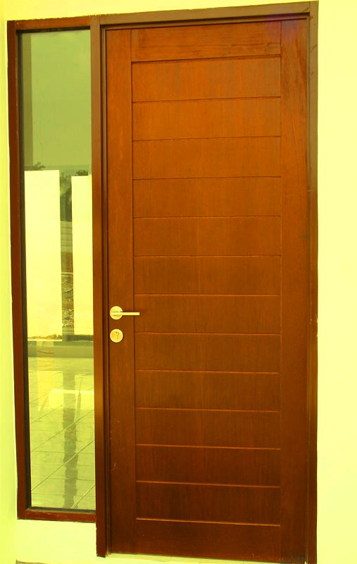 Daun pintu single